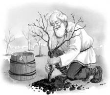 Мудрый старик (Быль)